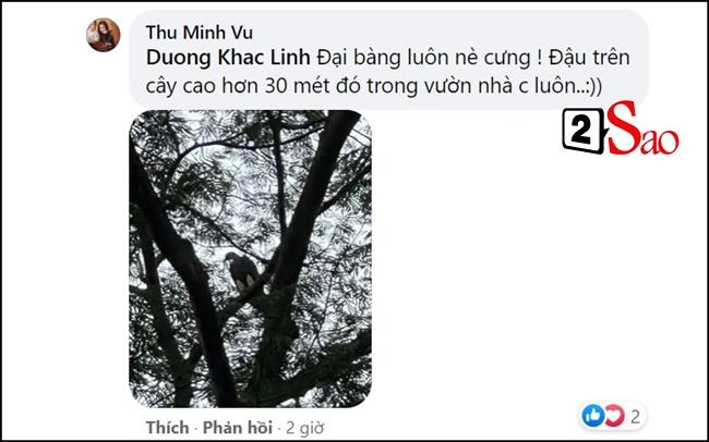 Đại bàng, phượng hoàng đất bay vào nhà Thu Minh-4