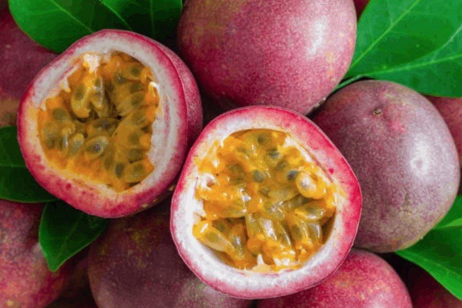 Dùng trà táo đỏ thường xuyên khác nào uống thần dược giá rẻ-4