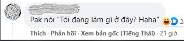 Thầy Park bị tuyển Thái Lan cho ăn cú lừa trước trận đối đầu bán kết-2