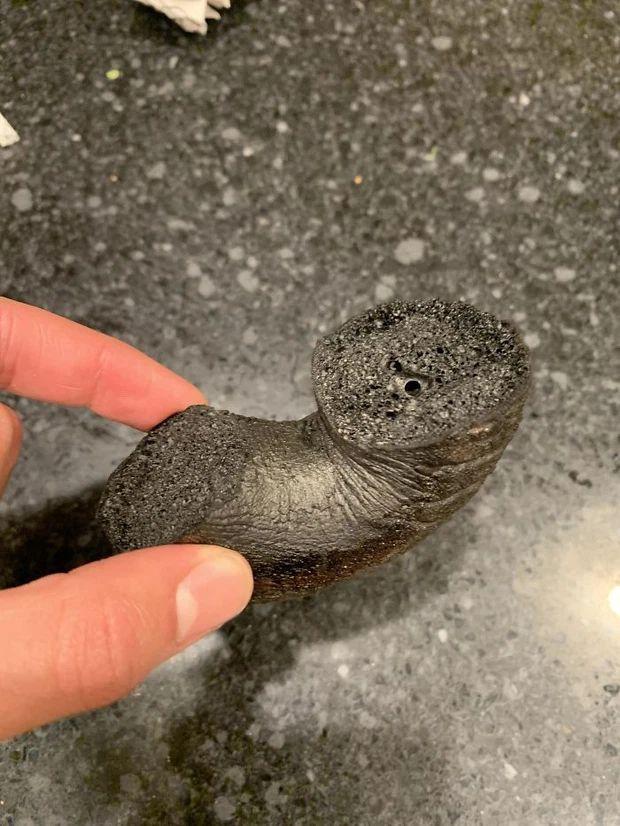 Khi hội ngáo ngơ lần đầu sử dụng lò vi sóng và cái kết-2