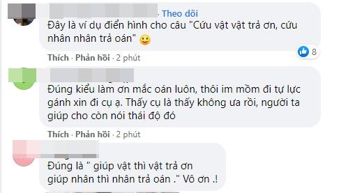 Dân mạng chỉ trích Thương Tín: Cứu người, người báo oán-2