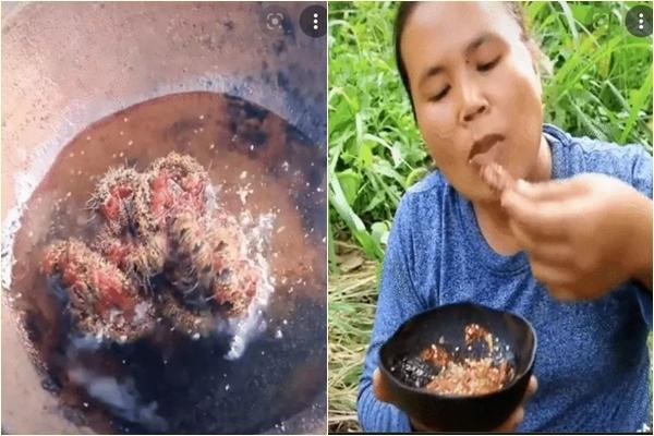 Đang ngủ thấy đau buốt, bật dậy phát hiện độc vật đáng sợ-2