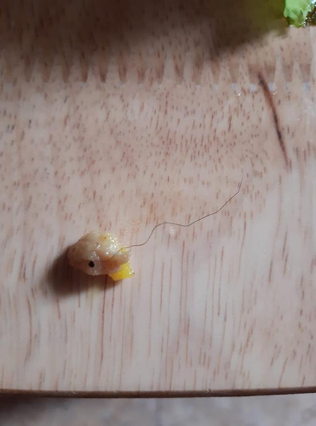 Đang ăn phở cuốn, cô nàng ói mửa vì gắp phải topping lông xoăn tít-5