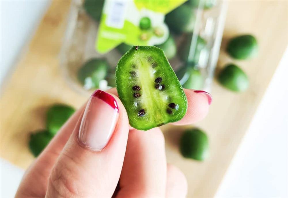 Loại quả gây lú vì nhìn như nhót, đến lúc bổ ra lại giống kiwi?-5