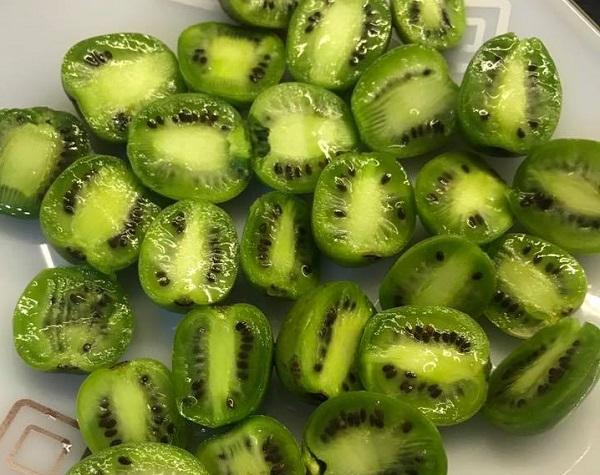 Loại quả gây lú vì nhìn như nhót, đến lúc bổ ra lại giống kiwi?-2