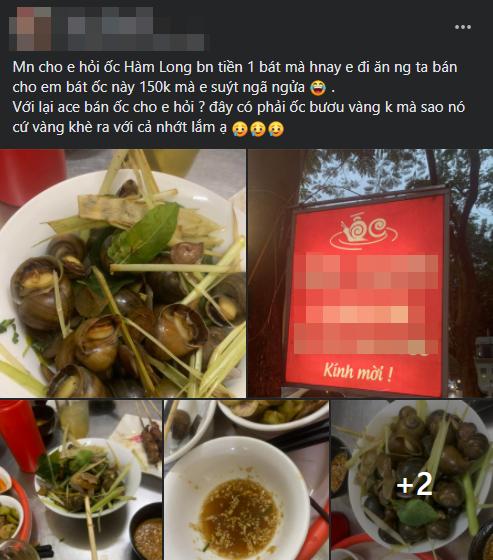 Ăn bát ốc luộc, cô gái khóc thét: Quán vỉa hè mà giá trên trời!-1