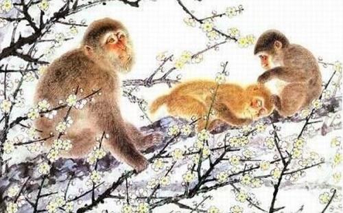 4 con giáp vận trình lao đao, bị tiểu nhân quấy phá năm 2022-3