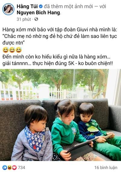 Đẻ nhiều đẻ dày, Hằng Túi bị nghi nhờ người mang thai hộ-1