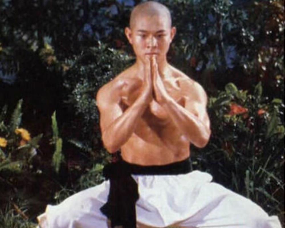 Lý Liên Kiệt chi cả trăm triệu đô la chỉ để mua thứ này-1