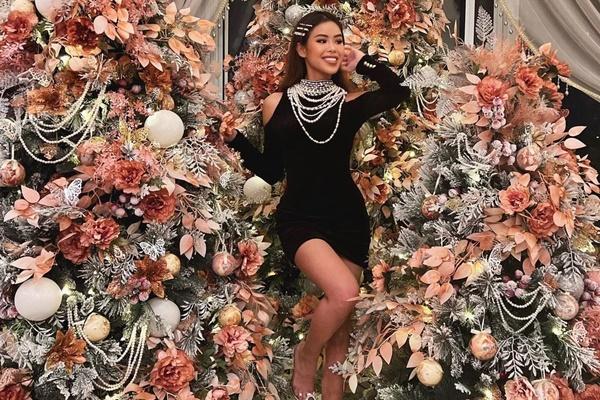 Lễ Giáng sinh kém náo nhiệt ở Nhà Trắng-3