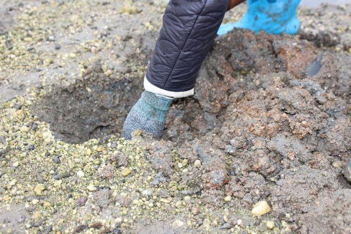 Quảng Ninh: Cận cảnh đi săn sá sùng kiếm tiền triệu mỗi ngày-4