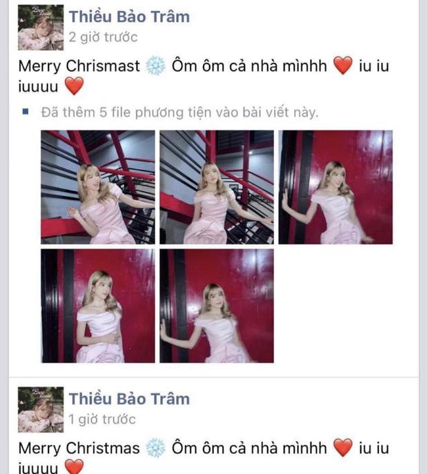 Mải khoe ảnh sống ảo, Thiều Bảo Trâm bị vạch lỗi chính tả cơ bản-4