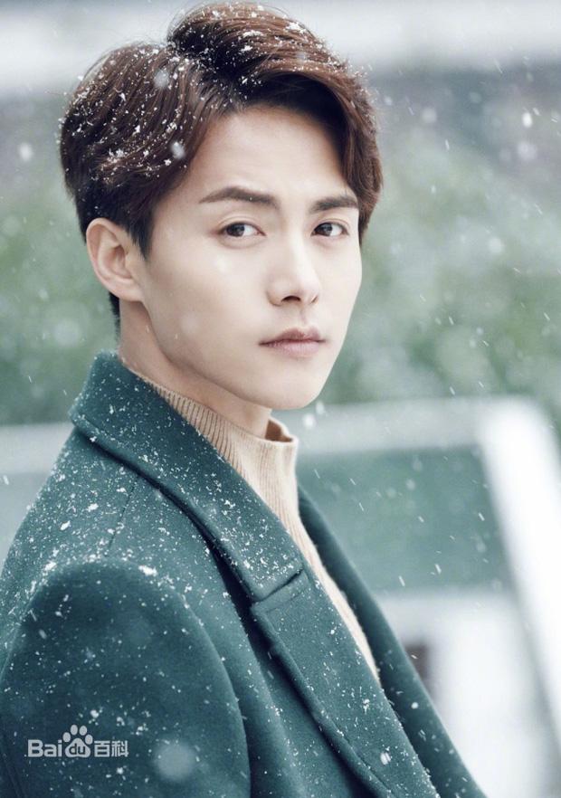 Mỹ nam từng bị Dương Tử coi thường đột ngột tuyên bố giải nghệ-3