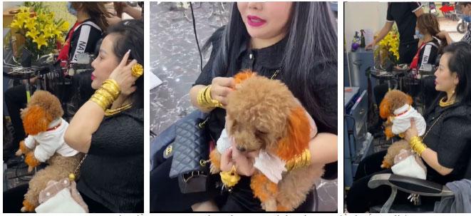Ngơ ngác bà cô đeo vàng kín người dắt chó tâm linh vào salon-1