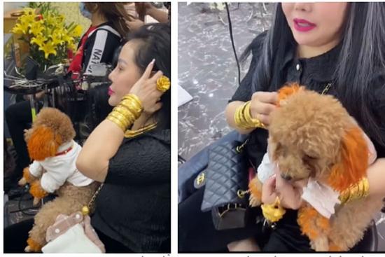 Ngơ ngác bà cô đeo vàng kín người dắt chó 'tâm linh' vào salon