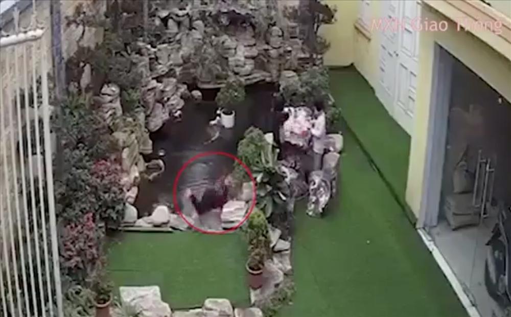 Bé 2 tuổi tử vong thương tâm khi rơi xuống bể cá trong nhà-1