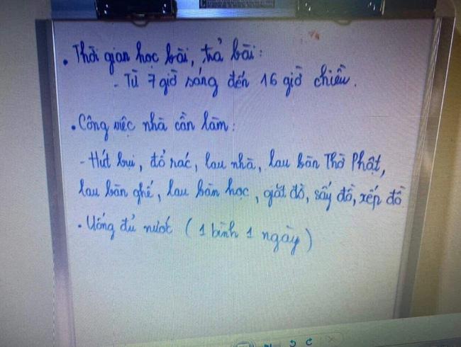 Bé gái bị dì ghẻ bạo hành tử vong: Mẹ ruột cả năm không được gặp con-6