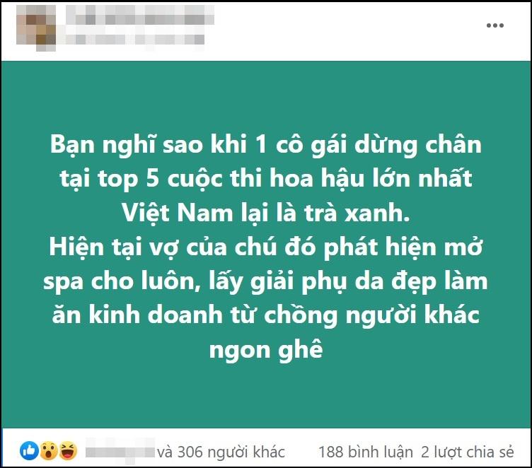 HOT: Top 5 hoa hậu bị tố trà xanh, bà cả phát hiện, thực hư ra sao?-2