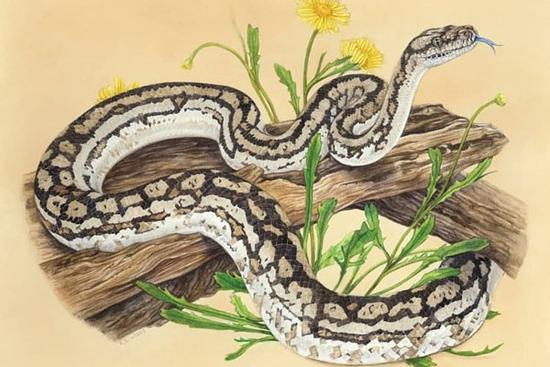 Tháng 1/2022, 3 con giáp tài vận hanh thông, tiền bạc rủng rỉnh