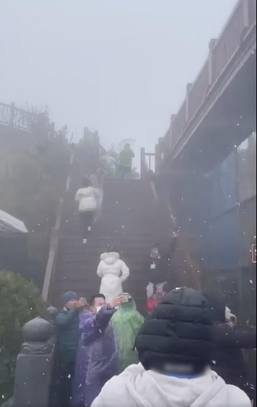 Sa Pa tuyết trắng như Châu Âu, khách du lịch u mê cảnh nức lòng-4