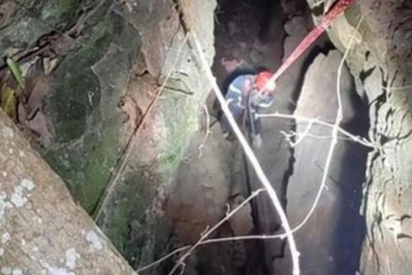 Cô giáo tự tử trước mặt hiệu trưởng: Sẽ tố cáo sau khi bị đuổi việc-2