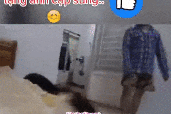 Clip: Cô gái khóc lóc lạy lục xin tha khi bạn trai phát hiện 'cắm sừng'