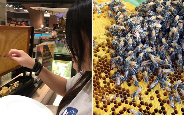 Giữa nhà hàng bỗng mọc lên tổ ong, thực khách hào hứng ra lấy mật-1