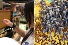 Giữa nhà hàng bỗng 'mọc' lên tổ ong, thực khách hào hứng ra lấy mật