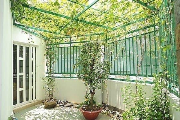 Choáng với biệt thự 17 tỷ giữa lòng Sài Gòn của danh hài Nhật Cường-7