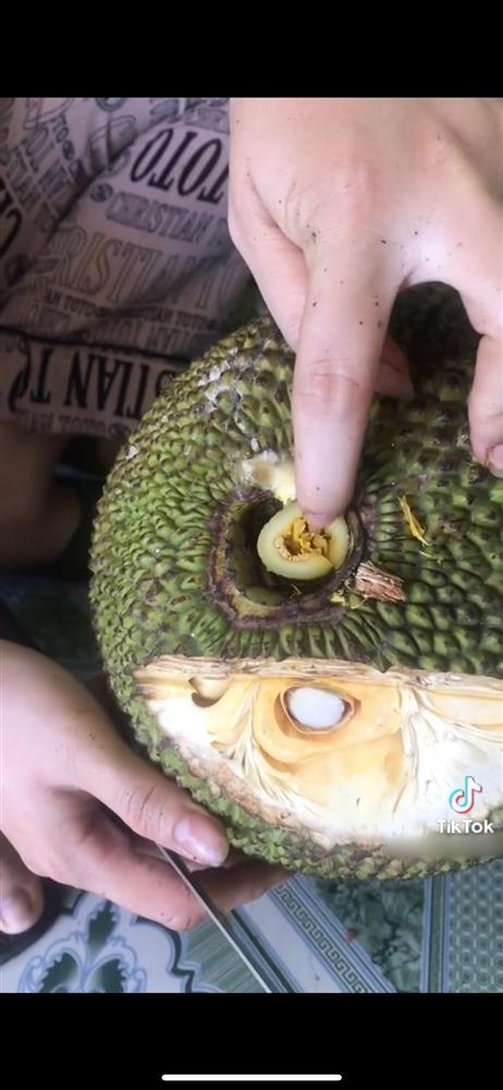 Clip: Cách phân biệt mít bị kích thuốc của nữ tiểu thương có tâm-2