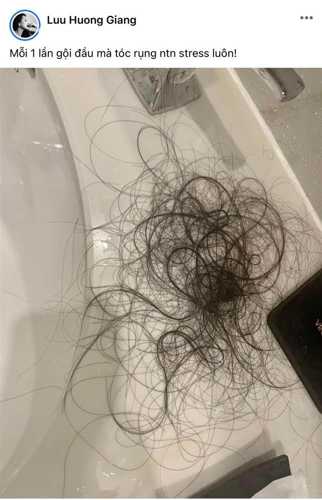Lưu Hương Giang rụng tóc đầy bồn rửa mặt, chuyện gì đây?-2