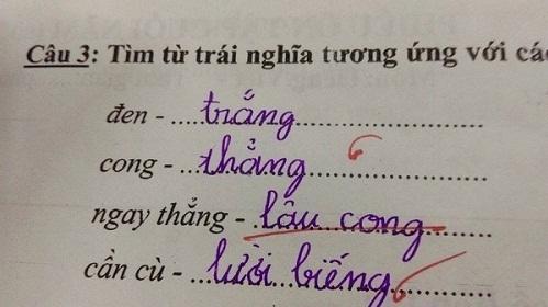Đời đi dạy chắc cô giáo chưa gặp em học sinh nào nhờn đến thế!-9