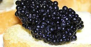 3 thứ từng chỉ cho lợn ăn thành đặc sản đắt đỏ-2