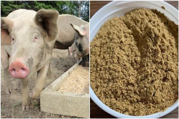 Đặc sản Quy Nhơn trứng lưng chừng, tưởng món lạ hóa ra rất quen-4