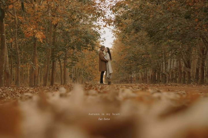 Cần gì đi Hàn, sát Sài Gòn cũng có nơi check-in lá vàng lãng mạn-4