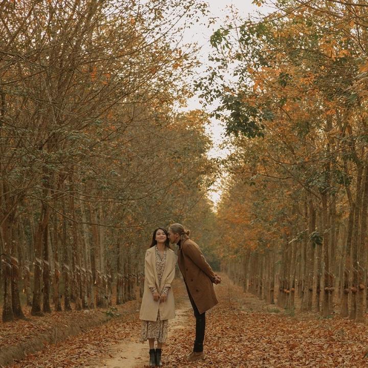 Cần gì đi Hàn, sát Sài Gòn cũng có nơi check-in lá vàng lãng mạn-6