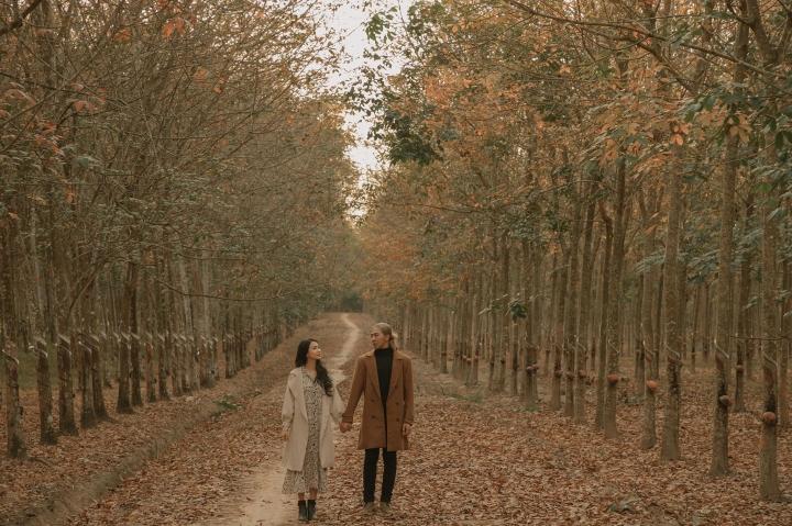 Cần gì đi Hàn, sát Sài Gòn cũng có nơi check-in lá vàng lãng mạn-7