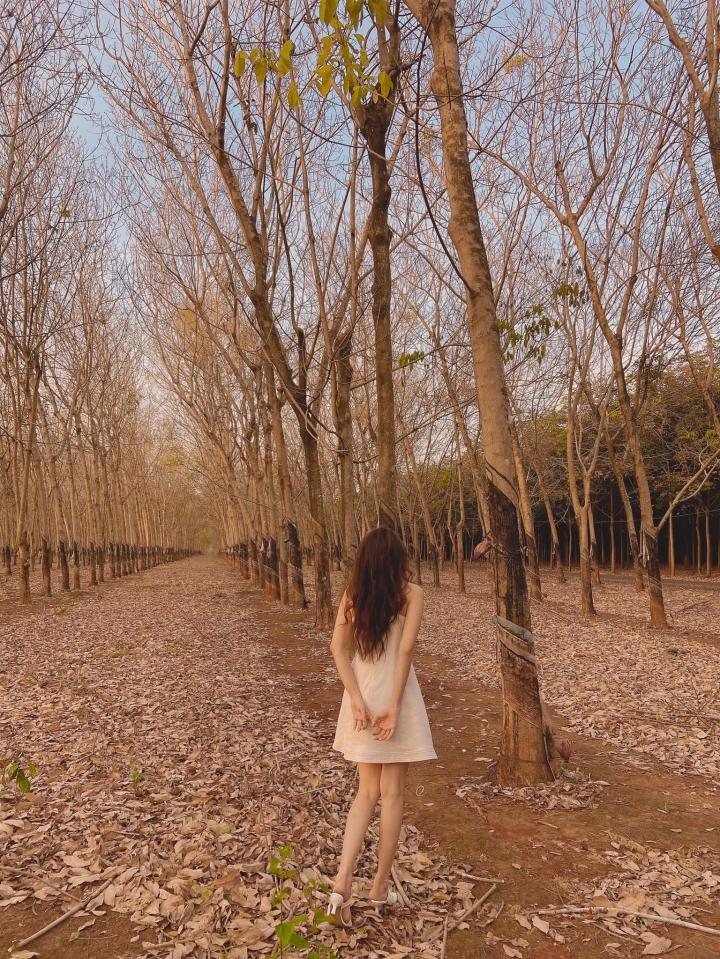 Cần gì đi Hàn, sát Sài Gòn cũng có nơi check-in lá vàng lãng mạn-8