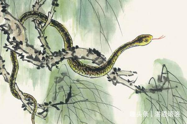 4 con giáp làm gì cũng gặt hái thành công trong tháng 1/2022-2