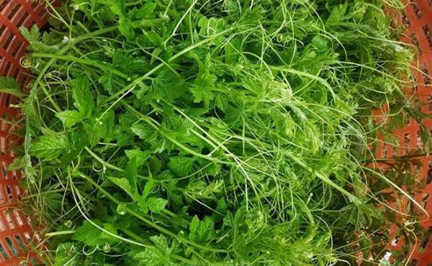 Dân mạng thi nhau rửa rau với xà phòng khiến người nhà ngã ngửa-4