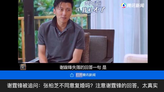 Trương Bá Chi không chịu tái hôn, Tạ Đình Phong lý giải cay đắng-1