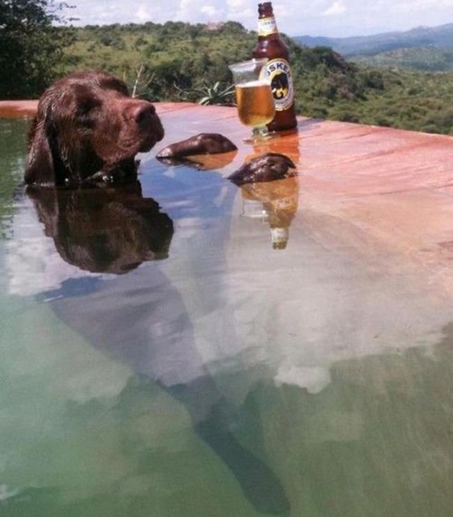 Những hình ảnh ngớ ngẩn được hội hóng chuyện vô tình chụp lại-10