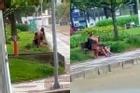 SỐC: Cặp đôi thản nhiên 'mây mưa' trên ghế đá, mặc kệ người nhắc