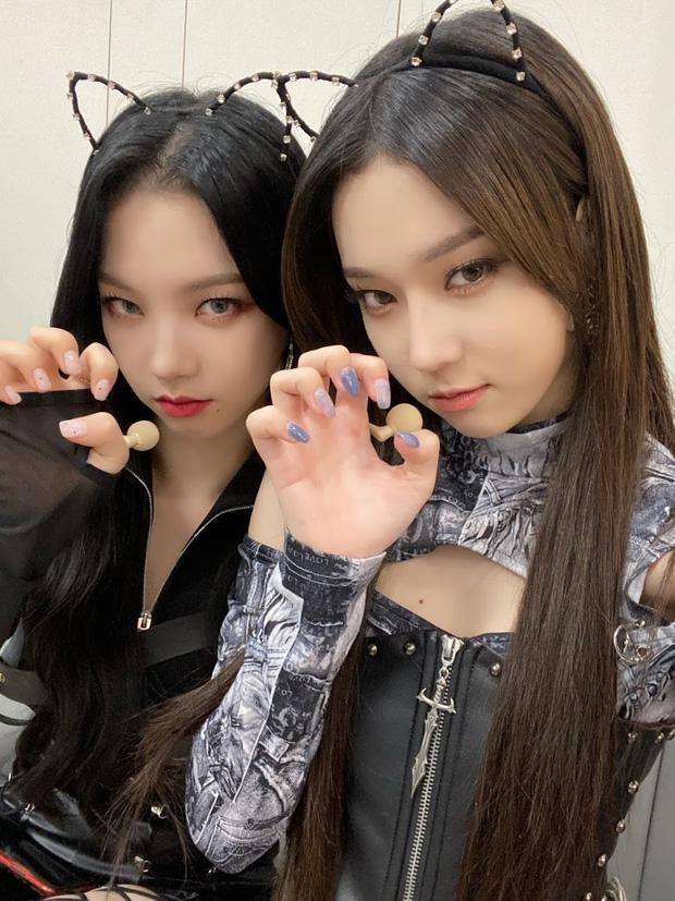 Danh tiếng chênh lệch của aespa: Winter và Karina áp đảo 2 thành viên ngoại quốc-3