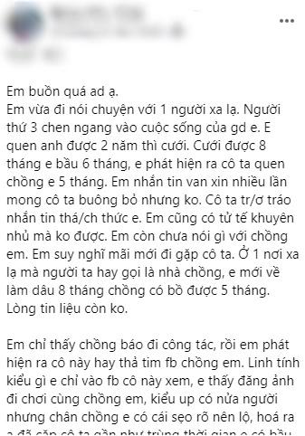 Mới cưới 3 tháng chồng ngoại tình, vợ bầu bị tiểu tam chọc giận-1