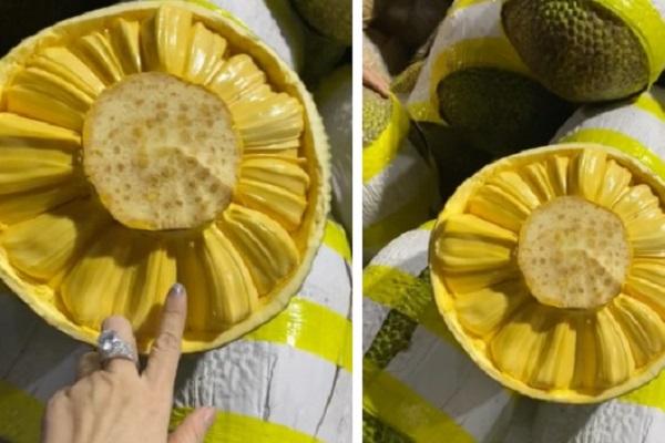 5 món thố đá kiểu Quảng Đông có hương vị hấp dẫn-6