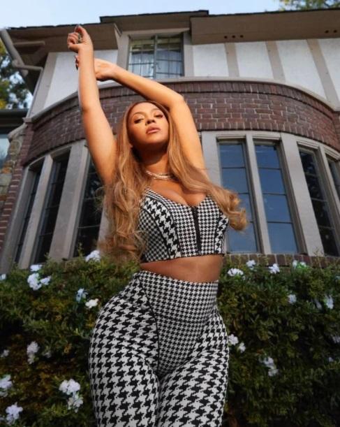 Hoa hậu chuyển giới kế nhiệm Hương Giang mặc đầm trong suốt ái ngại-7