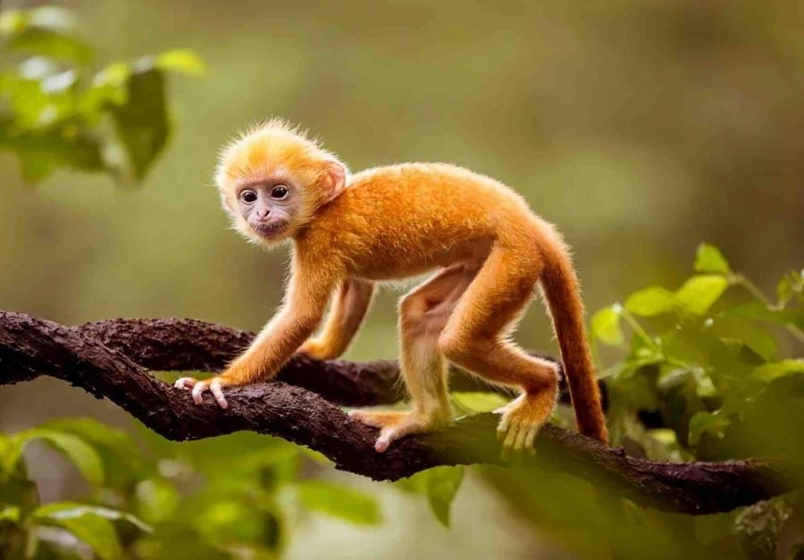 3 con giáp bị Thần Tài quay lưng, tiểu nhân quấy phá trong năm 2022-2