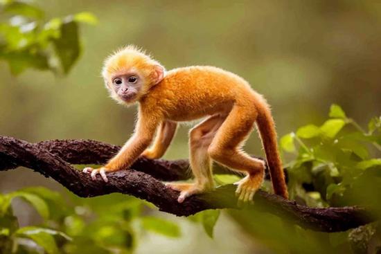 3 con giáp bị Thần Tài quay lưng, tiểu nhân quấy phá trong năm 2022