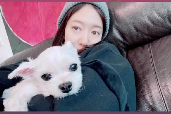 Lộ thiệp cưới của Park Shin Hye - Choi Tae Joon-4